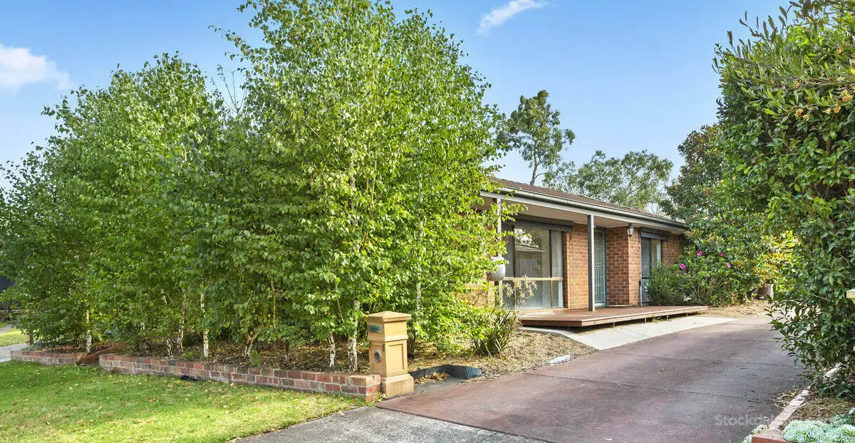 Main view of Homely unit listing, 1/11 Chandos Place, Langwarrin VIC 3910