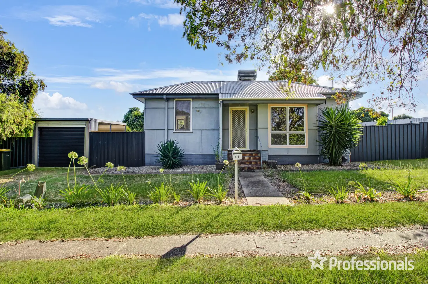 Main view of Homely house listing, 19 Macquarie Street, Mount Austin NSW 2650