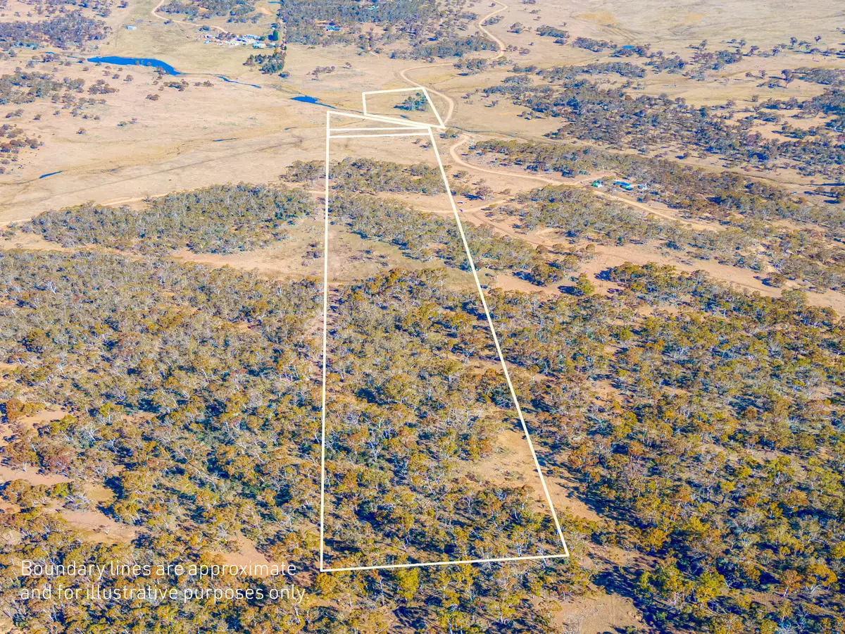 Main view of Homely rural property listing, 124 Old School Road, Hill Top NSW 2628