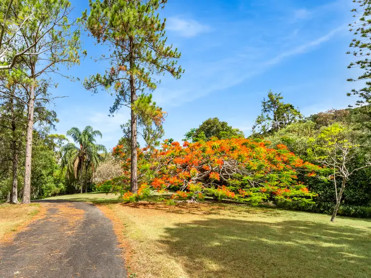 Fourth view of Homely house listing, 60 Majella Crescent, Bahrs Scrub QLD 4207