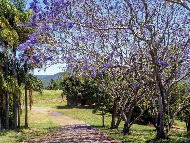 Sixth view of Homely house listing, 122 Kundes Road, Mount Samson QLD 4520