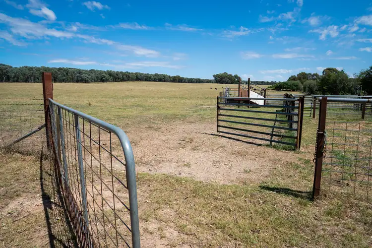 Fourth view of Homely rural property listing, Barnawartha Depot Road, Indigo Valley VIC 3688