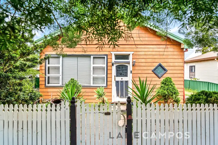 42 Fitzroy Street, Mayfield NSW 2304