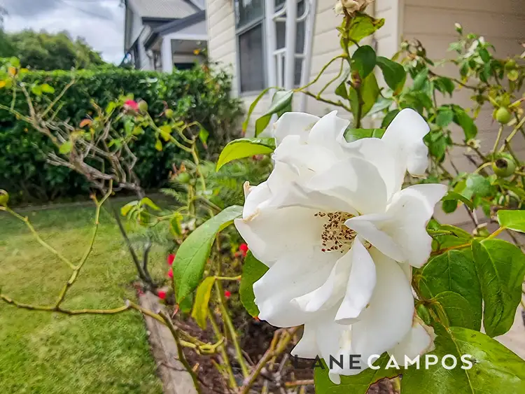 Second view of Homely house listing, 39 Prince Street, Waratah NSW 2298