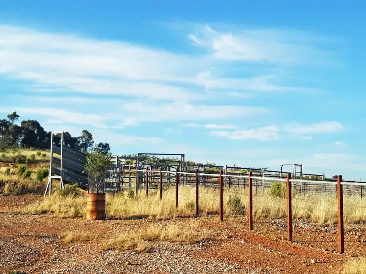 Third view of Homely rural property listing, 660 Kerrs Creek Road, Kerrs Creek NSW 2800