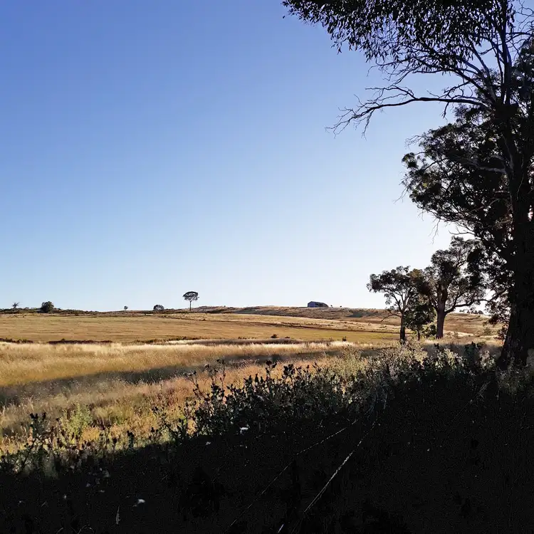 Fifth view of Homely rural property listing, 660 Kerrs Creek Road, Kerrs Creek NSW 2800
