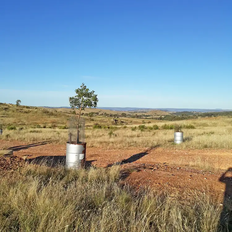 Sixth view of Homely rural property listing, 660 Kerrs Creek Road, Kerrs Creek NSW 2800