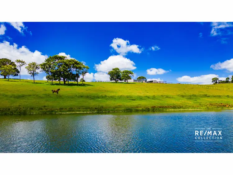 Sixth view of Homely house listing, 328 Mountain View Road, Maleny QLD 4552