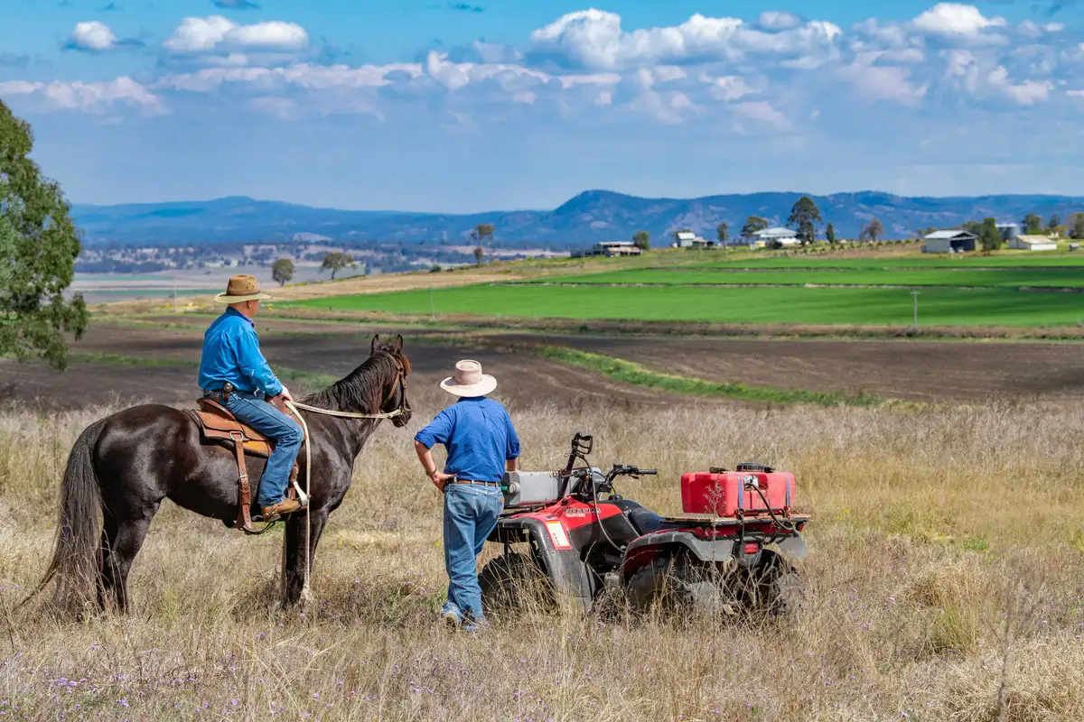 Main view of Homely rural property listing, 972 Hermitage-Emu Vale Road, Junabee QLD 4370