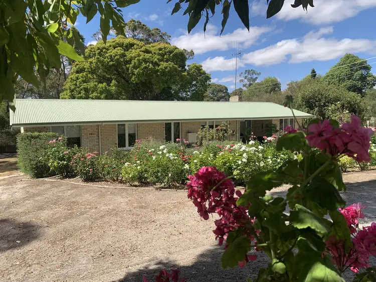 Main view of Homely house listing, 56 Marmion Street, Mount Barker WA 6324