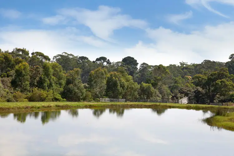 Third view of Homely rural property listing, LOT 10, 209 Timboon-Curdievale, Road, Timboon VIC 3268