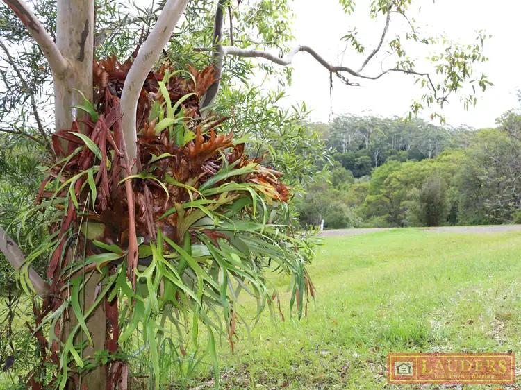 Second view of Homely rural property listing, 139 Glenwarrin Road, Elands NSW 2429