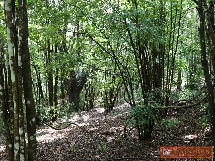 Fourth view of Homely rural property listing, 139 Glenwarrin Road, Elands NSW 2429