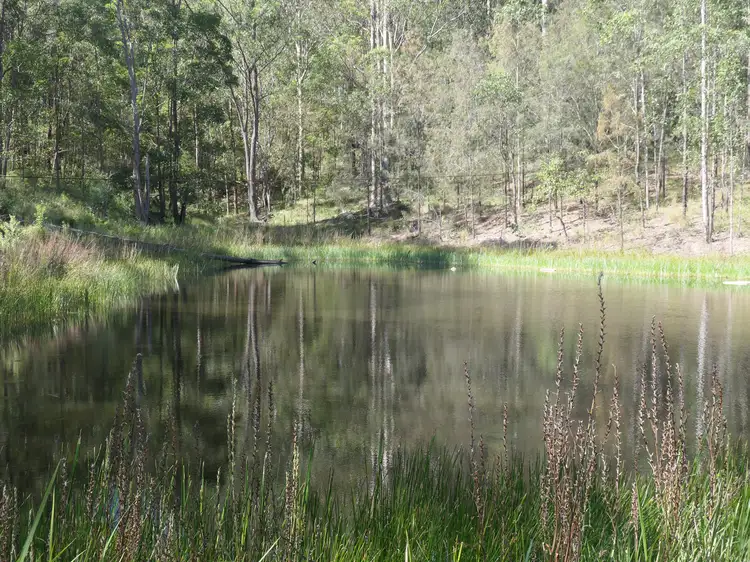 Second view of Homely rural property listing, 20 Frames Road, Tabulam NSW 2469