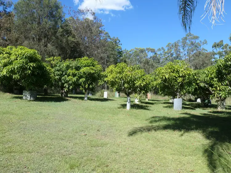 Fourth view of Homely rural property listing, 20 Frames Road, Tabulam NSW 2469