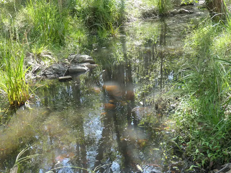 Fifth view of Homely rural property listing, 20 Frames Road, Tabulam NSW 2469