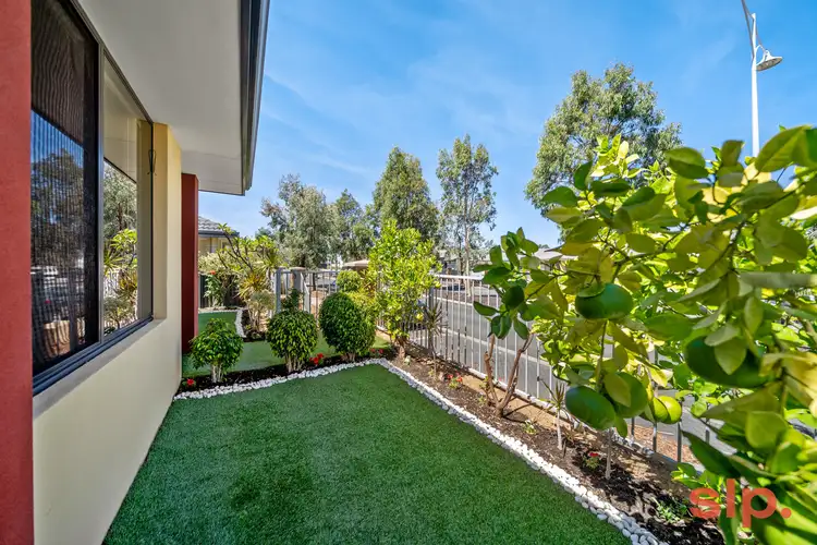 Fourth view of Homely house listing, 165 Grandis Boulevard, Banksia Grove WA 6031