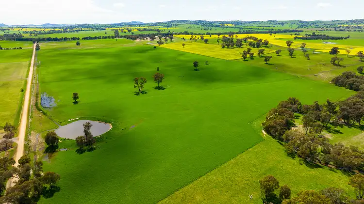 366 Kendalls Road, Henty NSW 2658