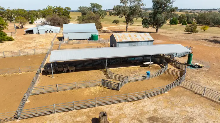 Third view of Homely rural property listing, 366 Kendalls Road, Henty NSW 2658