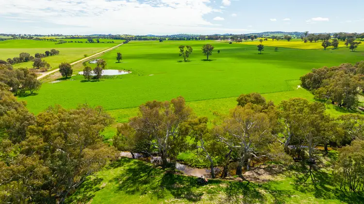 Fifth view of Homely rural property listing, 366 Kendalls Road, Henty NSW 2658