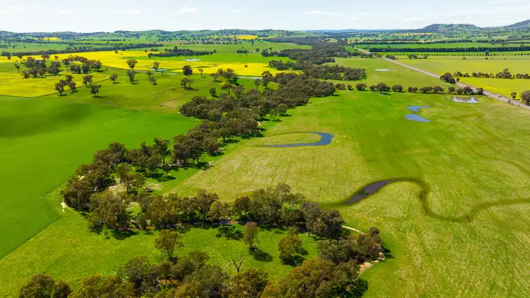 Sixth view of Homely rural property listing, 366 Kendalls Road, Henty NSW 2658