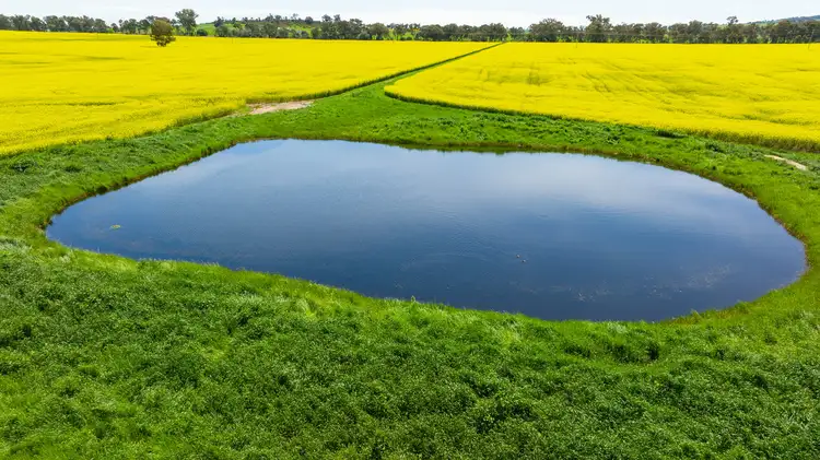 Seventh view of Homely rural property listing, 366 Kendalls Road, Henty NSW 2658