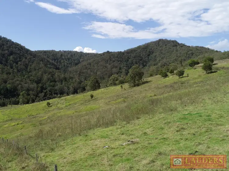 Fourth view of Homely rural property listing, Lot 48 Kerriki Forest Road, Cells River NSW 2424