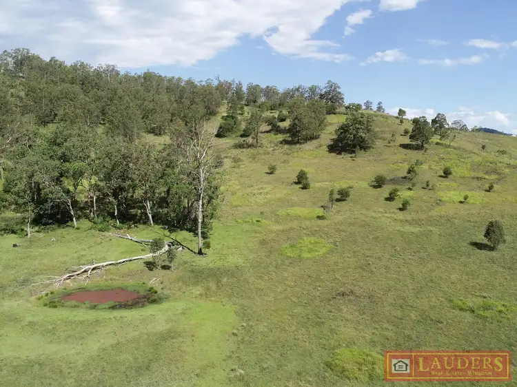 Sixth view of Homely rural property listing, Lot 48 Kerriki Forest Road, Cells River NSW 2424