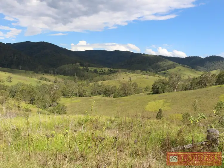 Seventh view of Homely rural property listing, Lot 48 Kerriki Forest Road, Cells River NSW 2424
