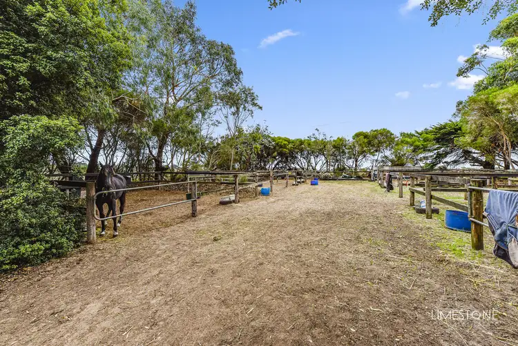 Fifth view of Homely house listing, 155 Tarrant Road, Moorak SA 5291