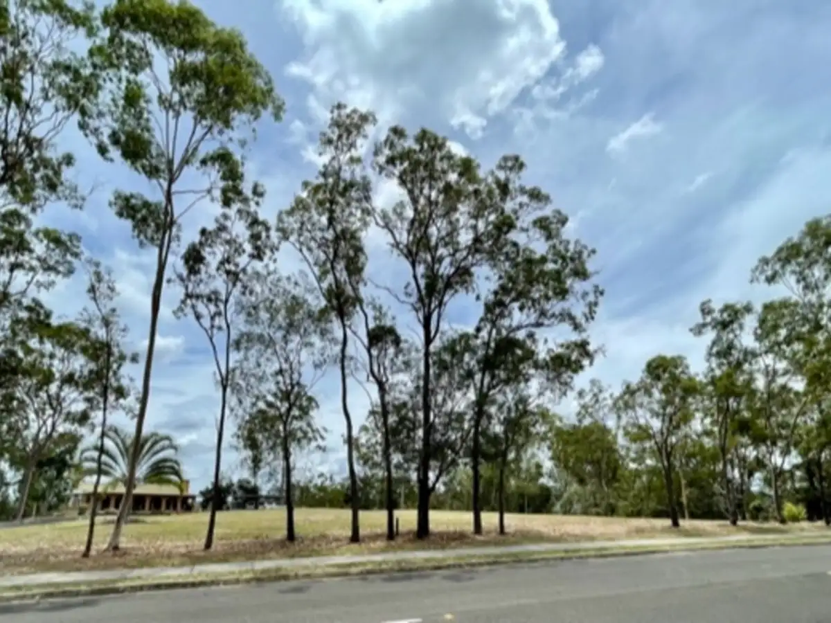 Main view of Homely land listing, 313 Arthur Summervilles Road, Karalee QLD 4306
