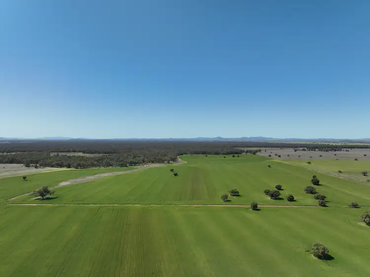 142 Sawpit Creek Road, Gunnedah NSW 2380