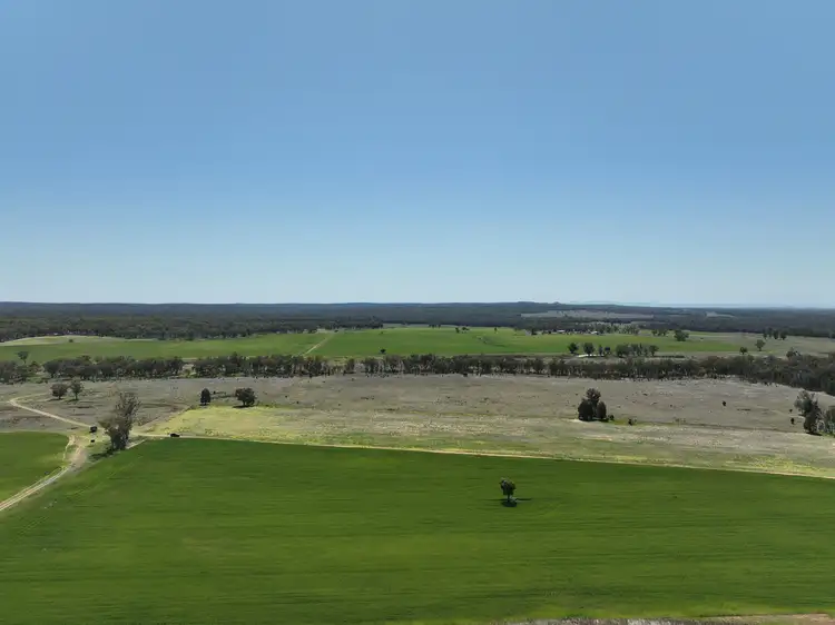 Third view of Homely rural property listing, 142 Sawpit Creek Road, Gunnedah NSW 2380