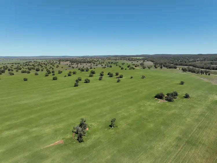 Fifth view of Homely rural property listing, 142 Sawpit Creek Road, Gunnedah NSW 2380