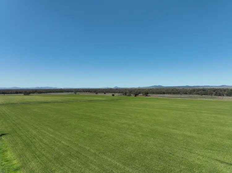 Sixth view of Homely rural property listing, 142 Sawpit Creek Road, Gunnedah NSW 2380