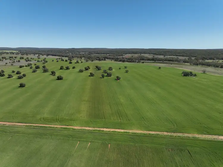 Seventh view of Homely rural property listing, 142 Sawpit Creek Road, Gunnedah NSW 2380