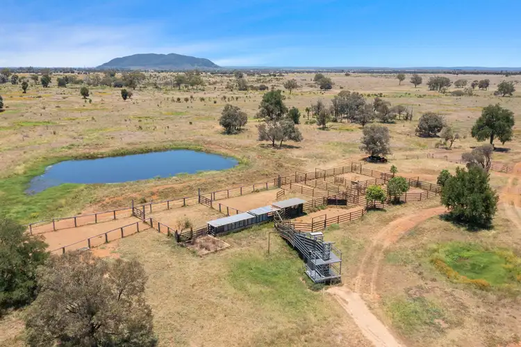 Second view of Homely rural property listing, 600 Riders Road, Baralaba QLD 4702