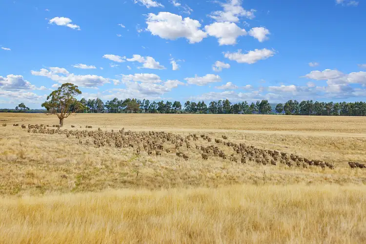 Seventh view of Homely rural property listing, Browns Lane, Snake Valley VIC 3351