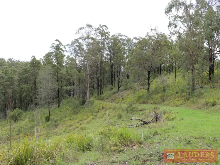 Lot 102 Gilloglys Road, Bulga Forest NSW 2429