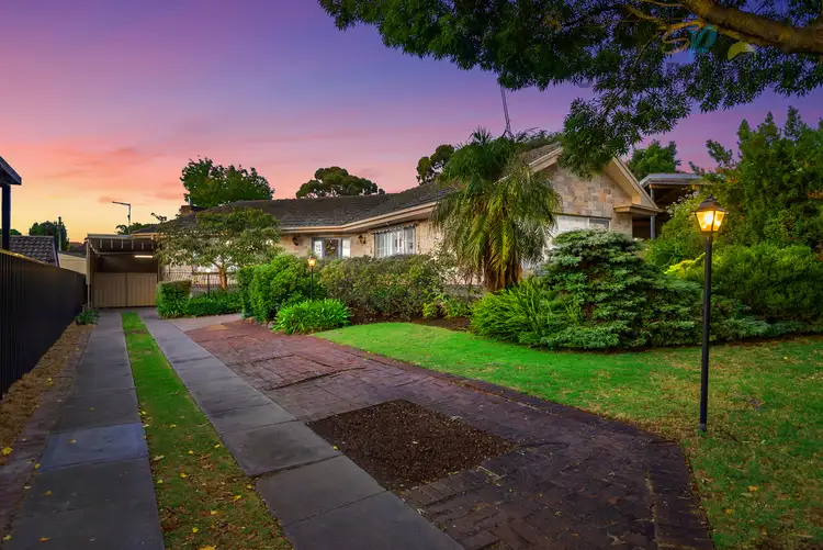 3 Nelson Court, Fairview Park SA 5126
