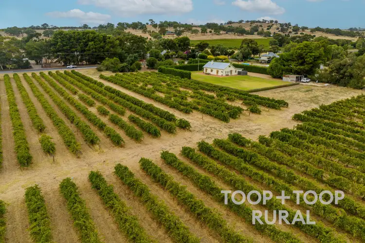 Third view of Homely rural property listing, 916 Stockwell Road, Angaston SA 5353