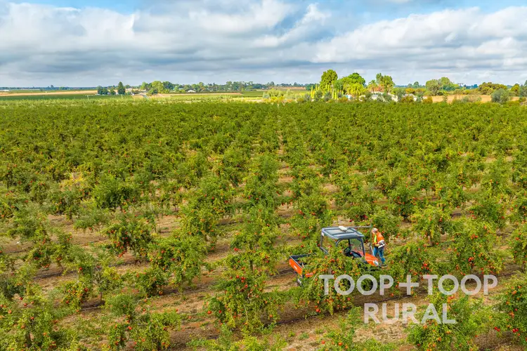402 & 500 Balfour Ogilvy Avenue, Loxton North SA 5333