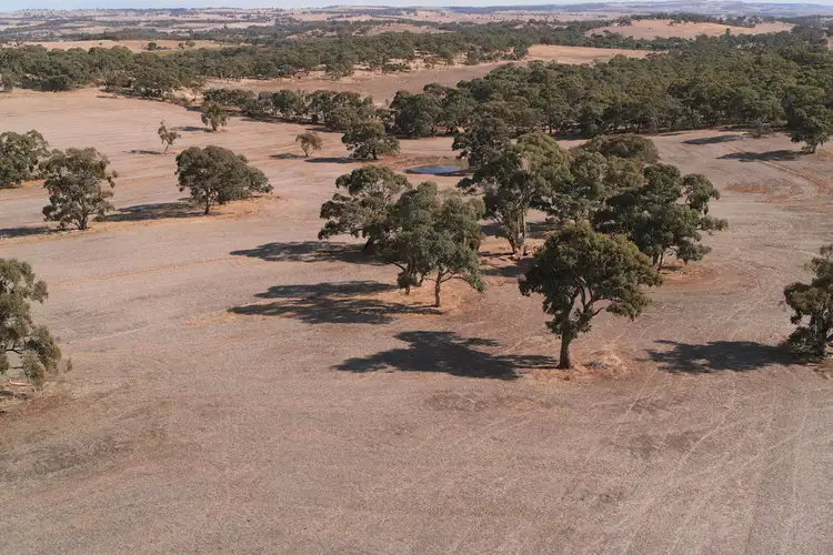 Third view of Homely land listing, Lot 2 Hubbe Road, Stanley Flat SA 5453