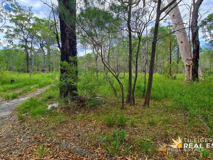 Seventh view of Homely land listing, LOT 2829 Gunnedah Street, North Arm Cove NSW 2324