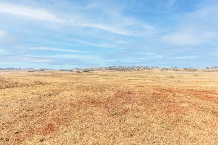 Seventh view of Homely rural property listing, 71 Ryans Lane, O'connell NSW 2795