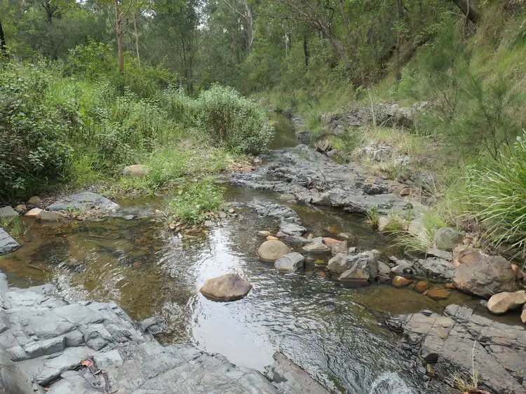 Main view of Homely rural property listing, 81 Bellbird Road, Drake NSW 2469