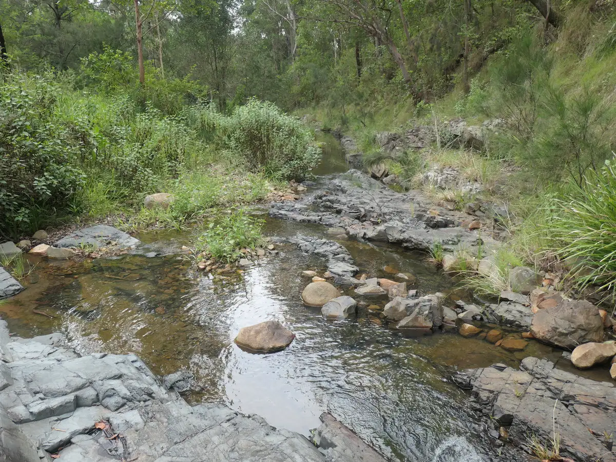 Main view of Homely rural property listing, 81 Bellbird Road, Drake NSW 2469