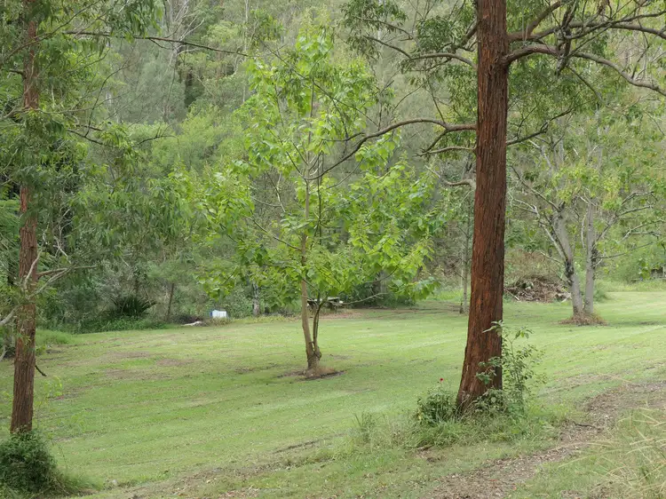 Seventh view of Homely rural property listing, 81 Bellbird Road, Drake NSW 2469