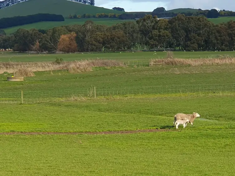 Seventh view of Homely rural property listing, LOT 2, 120 Hoses Lane, Boorcan VIC 3265