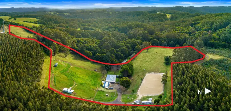 Main view of Homely rural property listing, 1010 Skenes Creek Road, Tanybryn VIC 3249